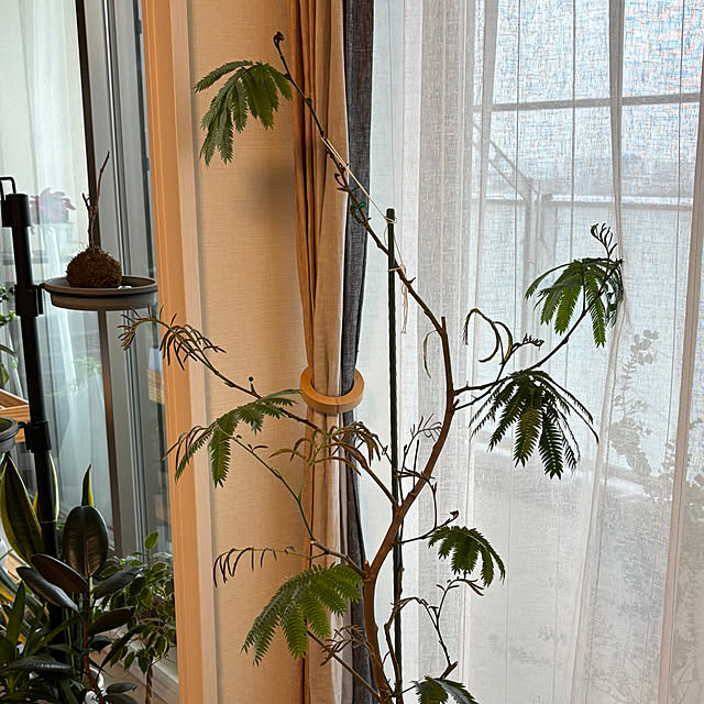 busho_no_hahaさんの部屋