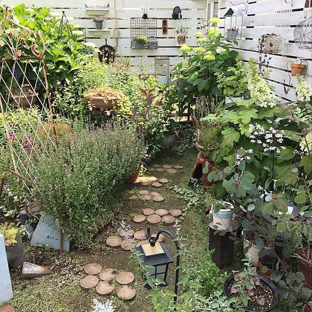 kokko3さんの実例写真