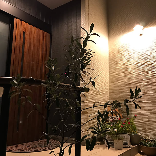 Nicoleさんの実例写真