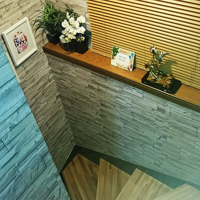 noninoniさんの実例写真