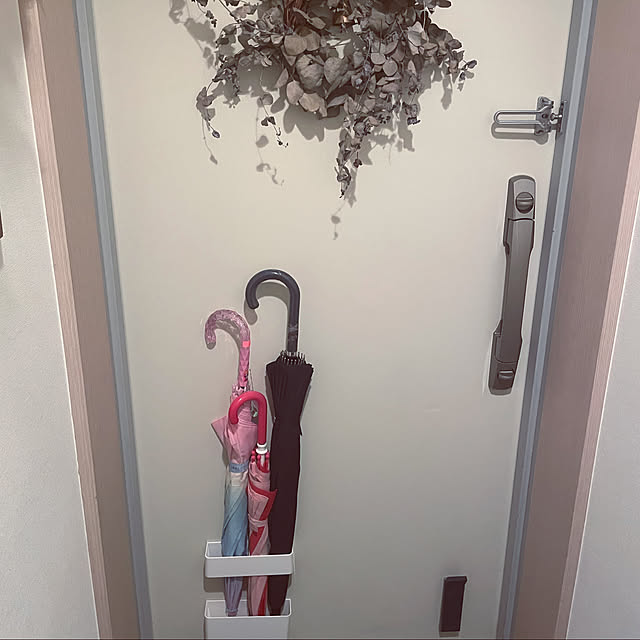 wataruのtidy-tidy DoorStop ティディ ドアストップの家具・インテリア写真