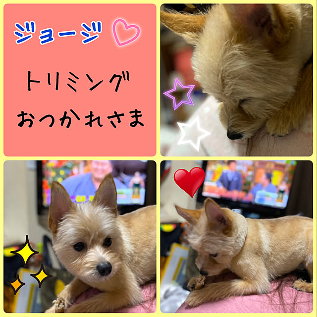 FUさんの実例写真