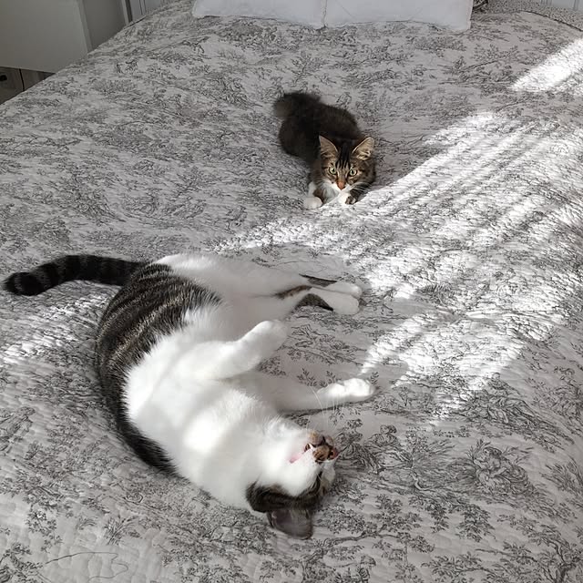 yuchiさんの実例写真