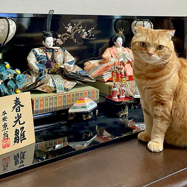 ponkkさんの実例写真