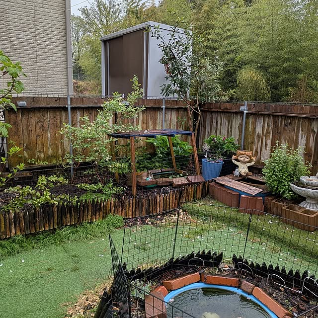 umeboshicyanさんの実例写真