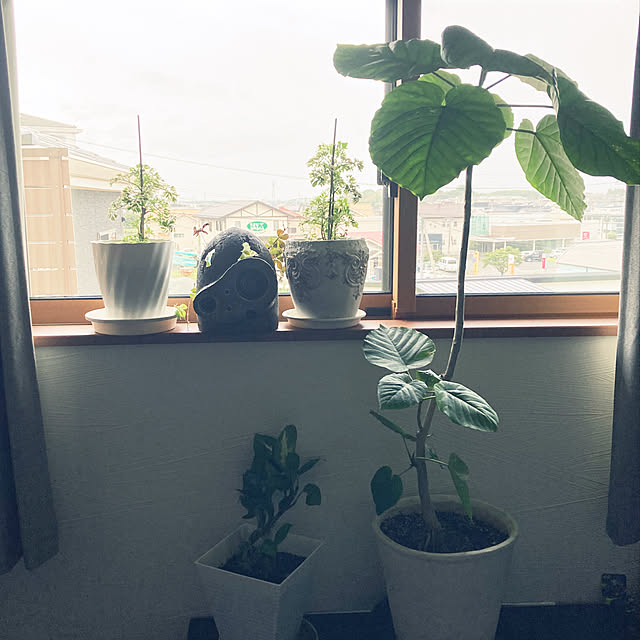 1546さんの部屋