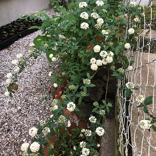 yuyuさんの部屋