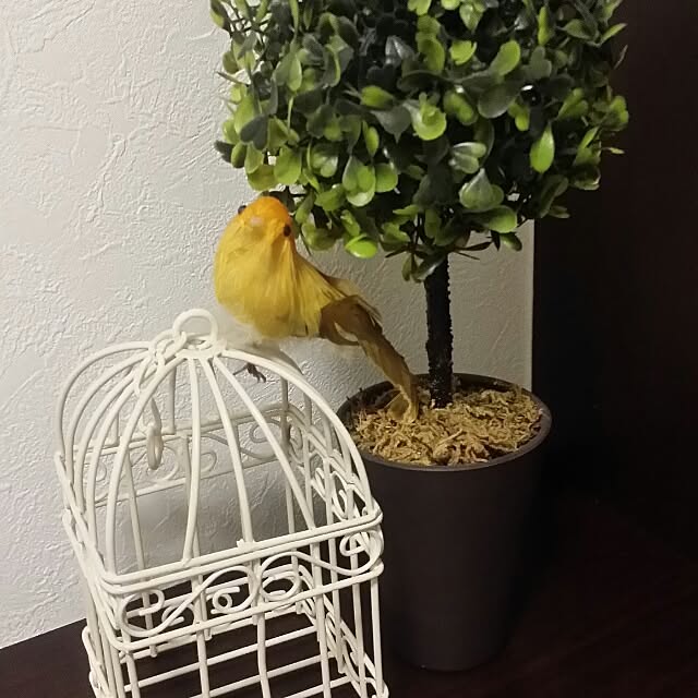 tomonanさんの実例写真