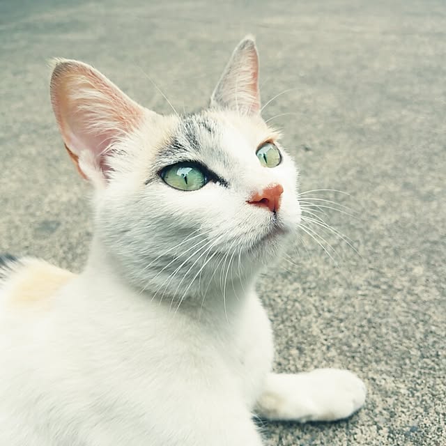 TUNさんの実例写真
