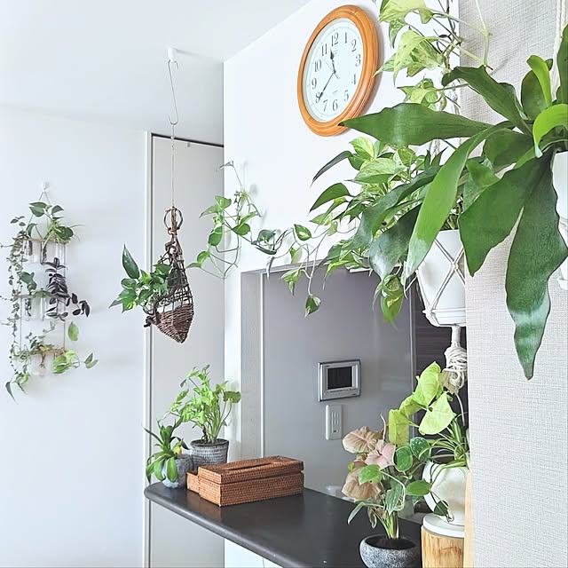 YuriYuriさんの部屋