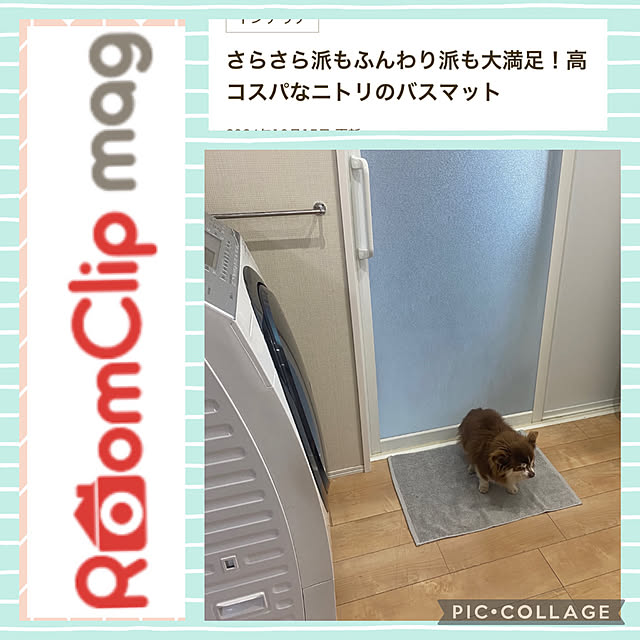 chIoeさんの実例写真