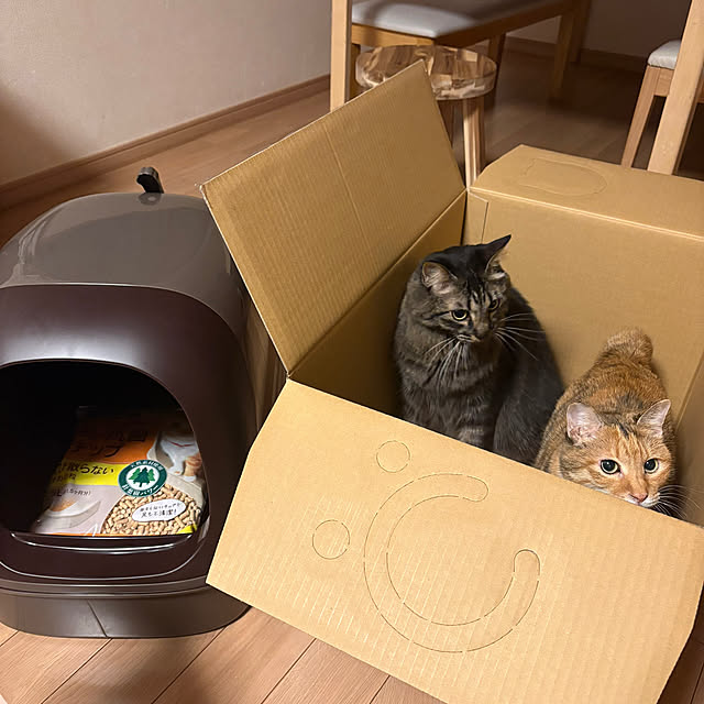 tami60さんの実例写真