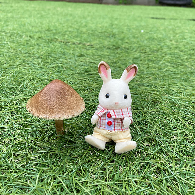saichanさんの実例写真
