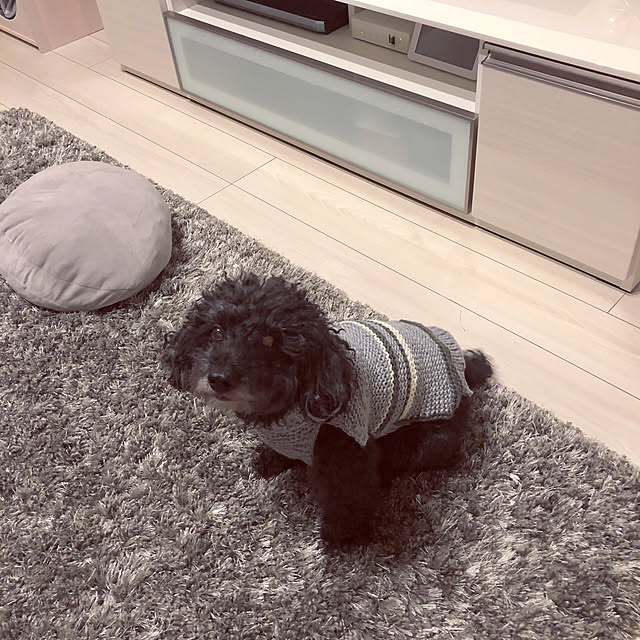 Mamiyさんの実例写真