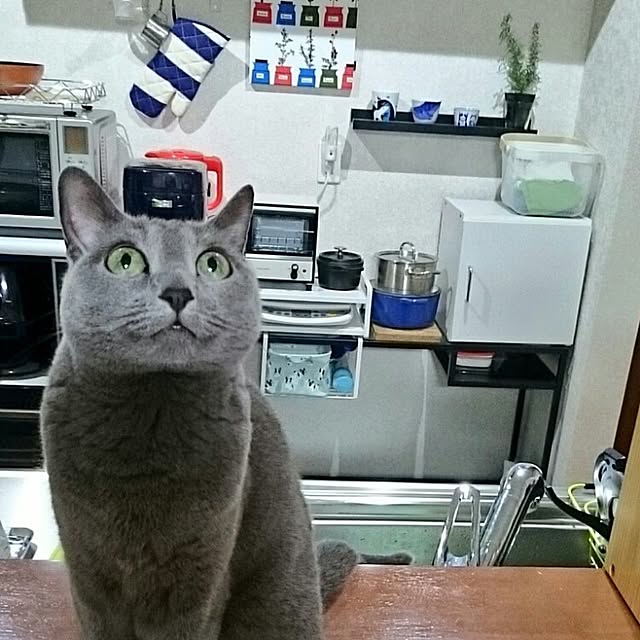 kosame918さんの実例写真