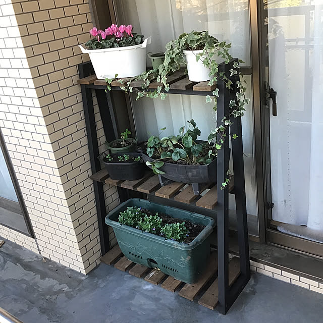 tamaさんの実例写真