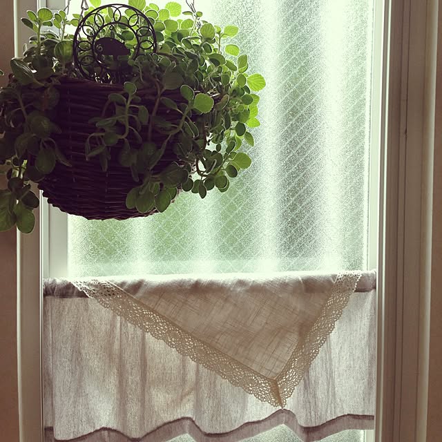 junjunさんの実例写真