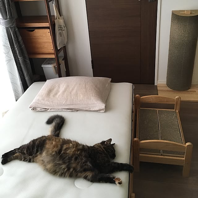 mikomaruさんの実例写真