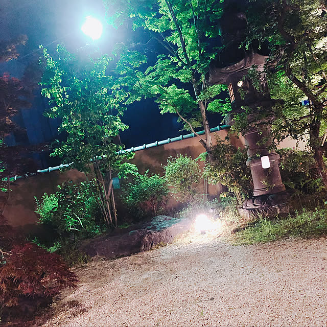 Ellenさんの実例写真