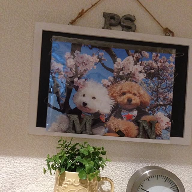 rinoさんの実例写真