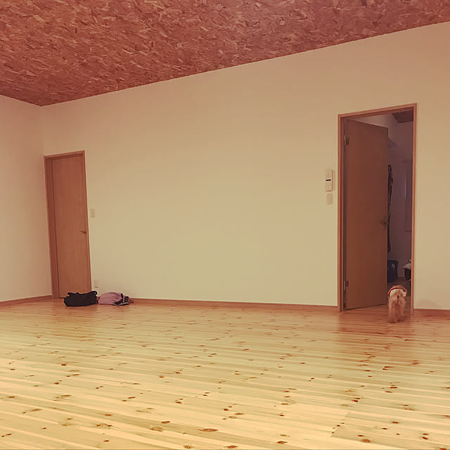 shizukaさんの実例写真