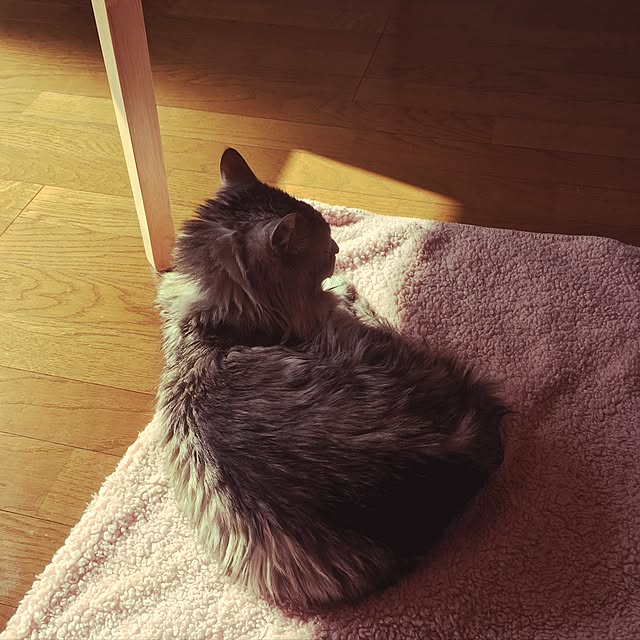 uiさんの実例写真