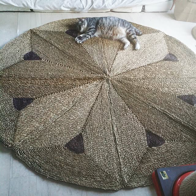 annさんの実例写真