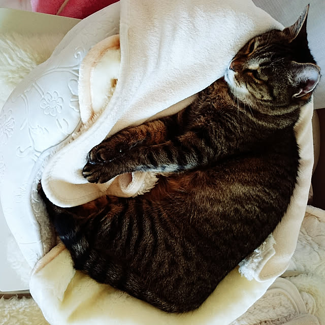 lilyさんの実例写真