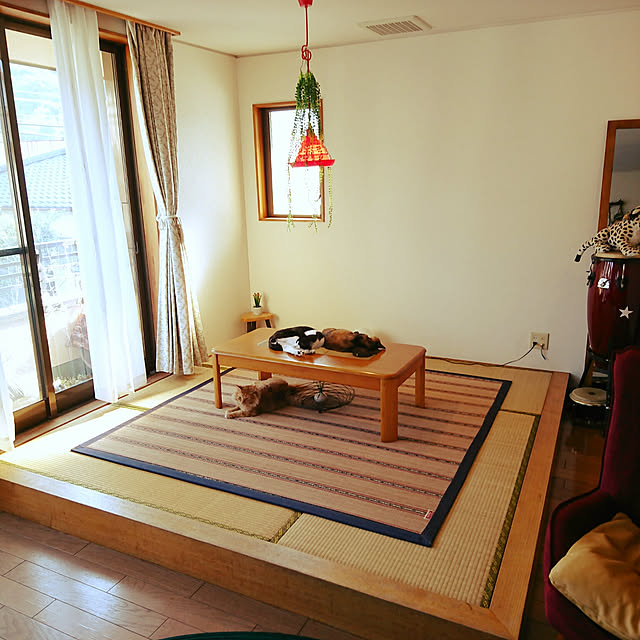 uchizukonyanさんの実例写真
