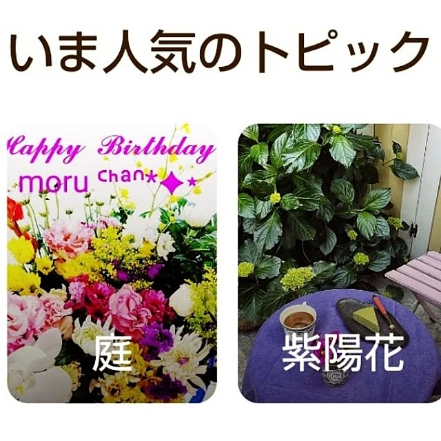katさんの部屋