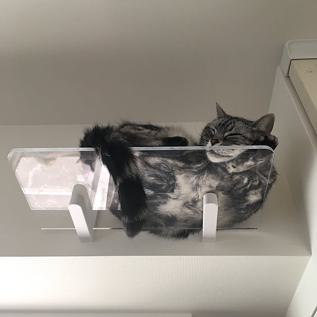 mikomaruさんの実例写真