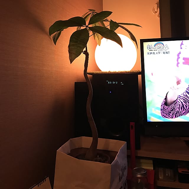 Yoshidaさんの実例写真