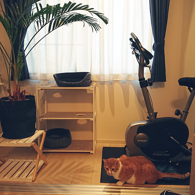 taka-kiさんの実例写真