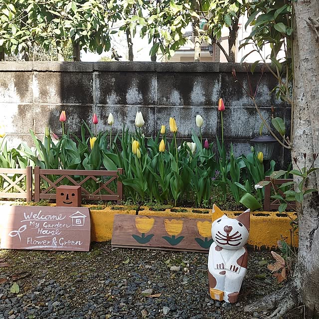 fukuさんの実例写真