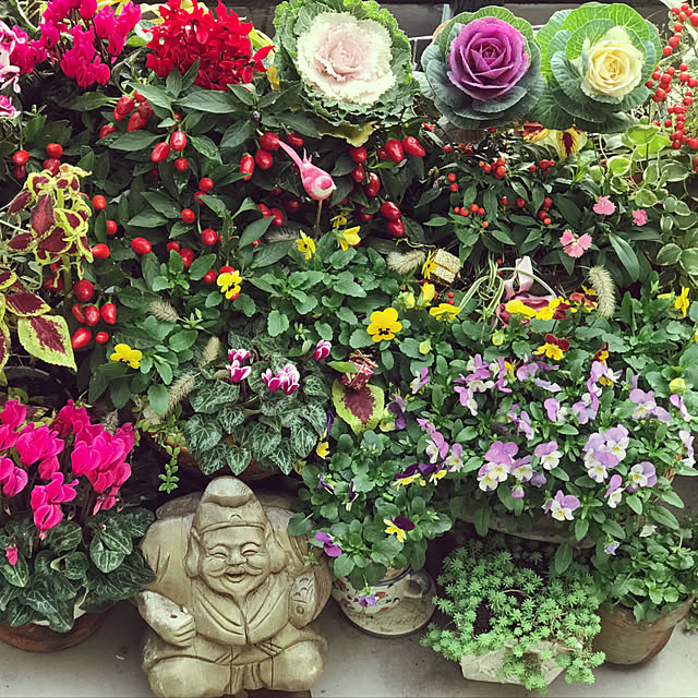 fuyiqian1026さんの実例写真