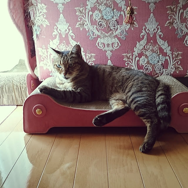 lilyさんの実例写真