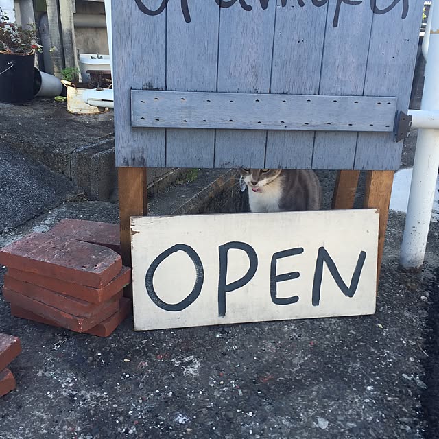okamokuさんの実例写真