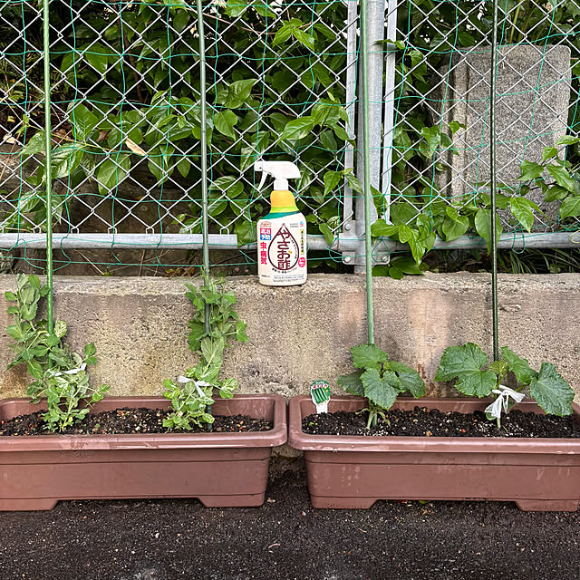 maayaさんの部屋