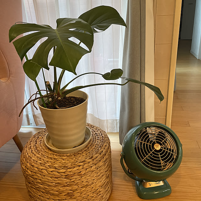 Alohaさんの実例写真