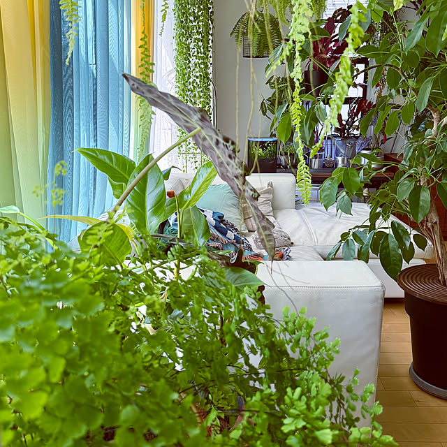 DAYONEさんの実例写真