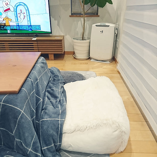 shirokumaさんの実例写真