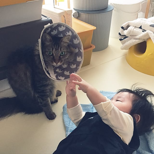 yuki0511さんの実例写真