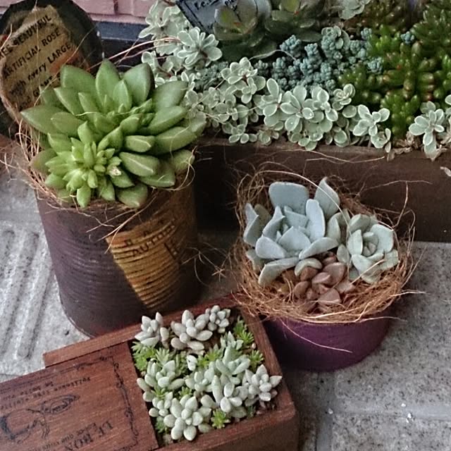 chachamaruさんの実例写真