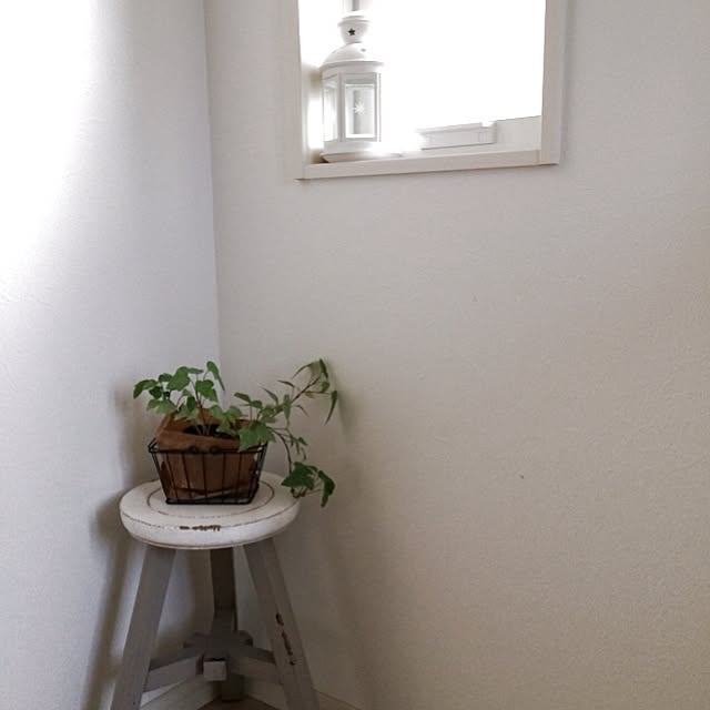 yucoさんの実例写真