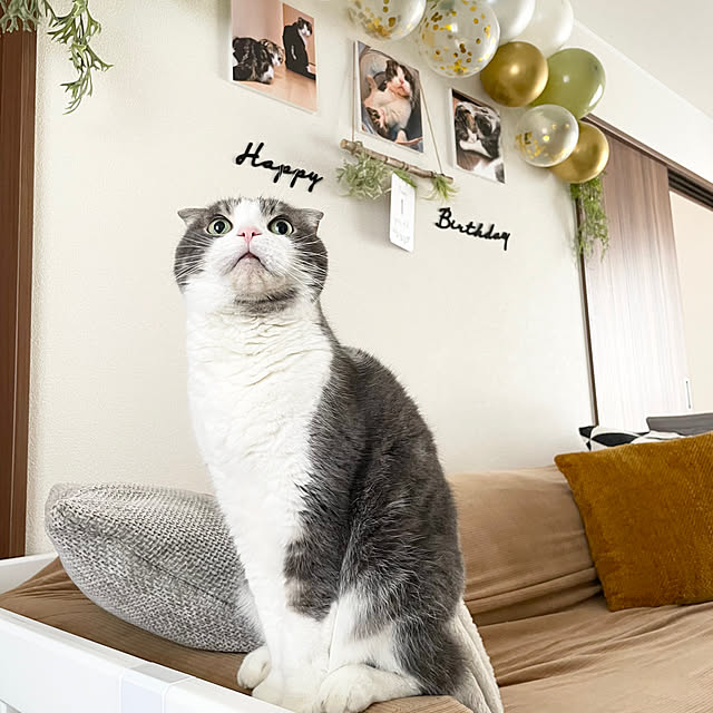 tansukeさんの部屋