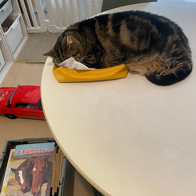 mikomaruさんの実例写真