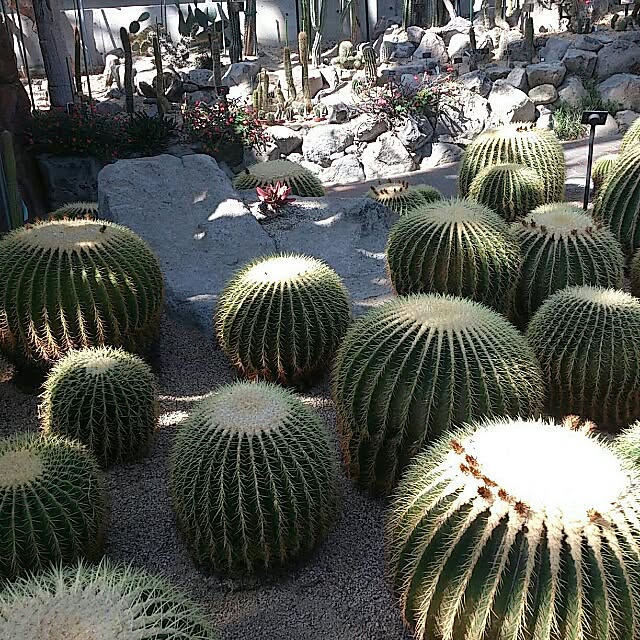 COLeCoさんの実例写真