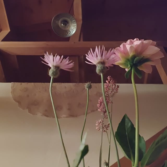 t.yumiさんの実例写真