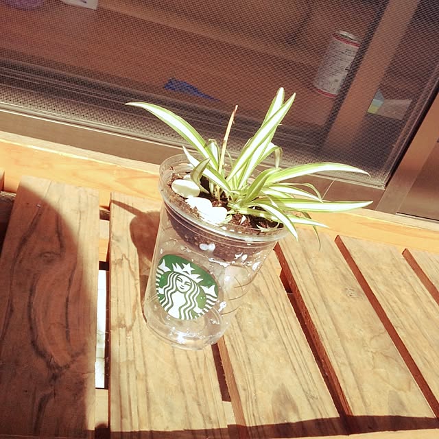 misakiさんの実例写真