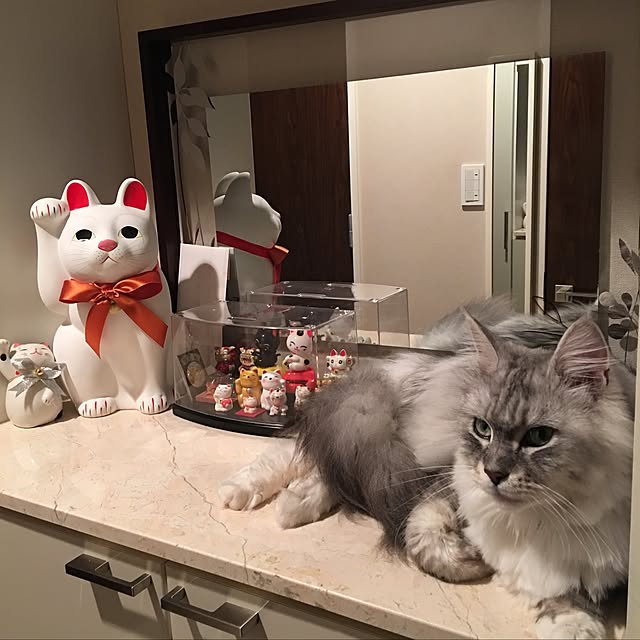 実例写真
